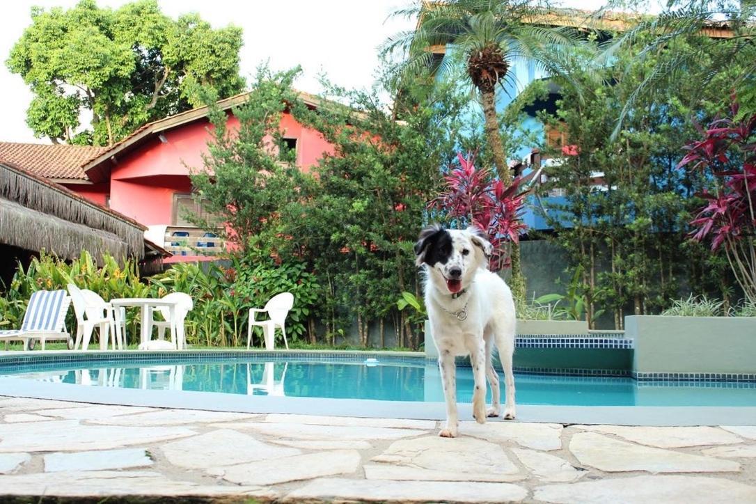 Pousada North Shore Maresias - 2 Quadras Da Praia - Casas De 2 Quartos - 80 M2 -2 Banheiros -Piscina Sauna - Estacion-Churrasq Privativa -Wifi Animais De Peq Porte Roupa De Cama E Banho 外观 照片